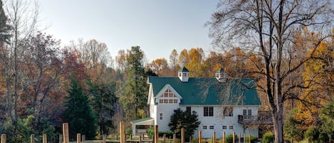 View of the property from the vineyard