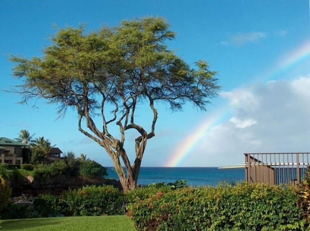 Napili Point Resort Best Rate Anywhere Hawaii Opening Special Low As 135 Nt Napili