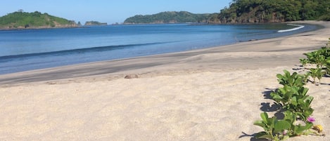 Playa Penca