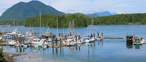 View of Tofino's Inner Harbour and Meares Island