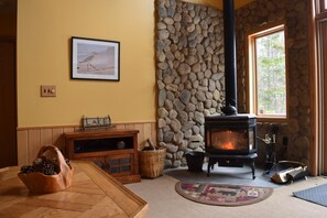 lounge room w/fire