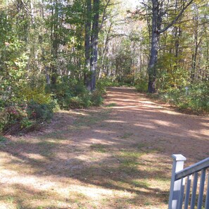 Peaceful view from the house