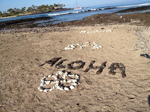 Making memories! One of our many beautiful beaches.
