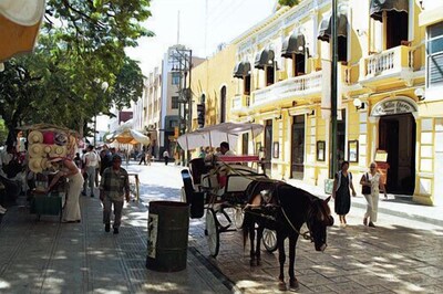 Tranquil Tropical Oasis en el Centro Histórico