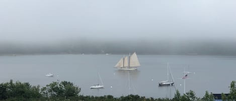 View from the deck- foggy day on the Sound