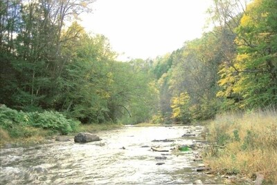 Ivy Cottage -Central Pennsylvania-Creekside