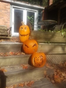 Ivy Cottage -Central Pennsylvania-Creekside