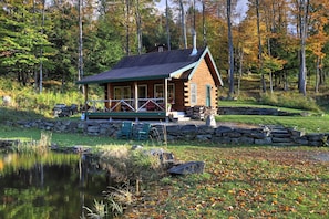 Beautiful photo taken by guest