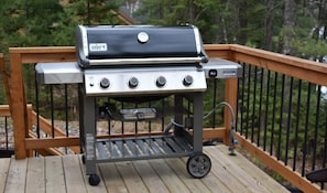 Weber Genesis Gas Grill 