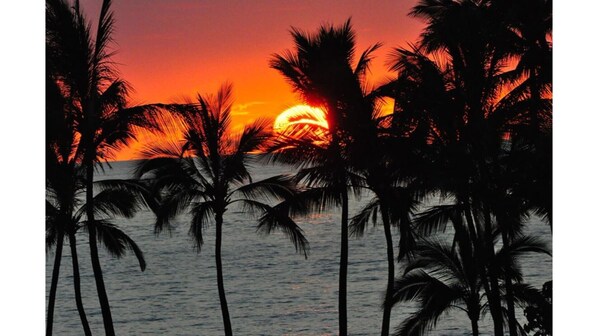 The Palms at Wailea, #207, Ground Fl. Corner condo, FULL. AC, FREE WIFI 400+