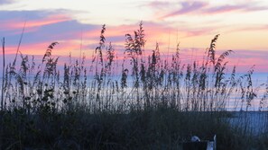 Little Gasparilla Island has the most beautiful sunsets.These colors are amazing