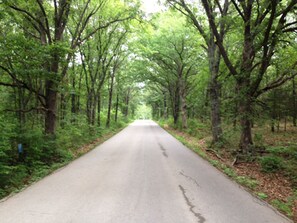 Your drive through Lake of the Ozarks State Park towards your vacation condo.