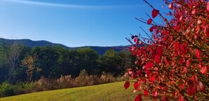 front yard mountain view - fall