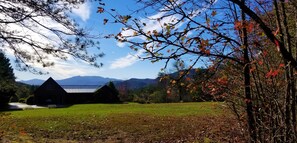 Panoramic Happiness