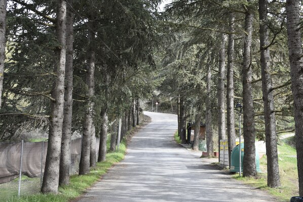 Terrenos do alojamento