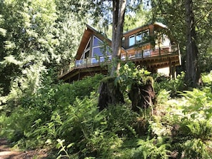Architecture,Building,House,Cabin,Vegetation