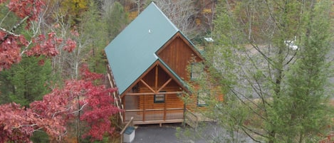 Cabin Aerial View