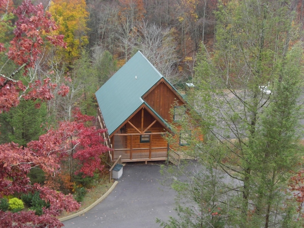 Cabin Aerial View