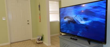 42 in HDTV in "Seafoam" green apartment living room