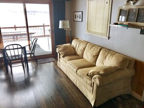 Sleeper Sofa in Living Room