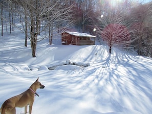 Winter is a magical time at the Stardance cabin