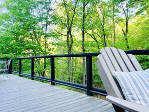 Spring 2019 deck overlooking Laurel Creek