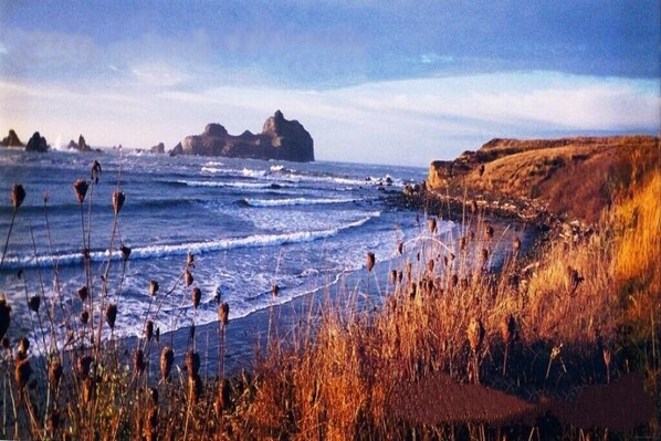 Playa