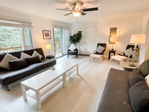 Living Area (alternate view)