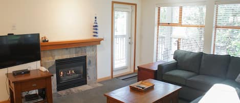 Living area with TV and fireplace