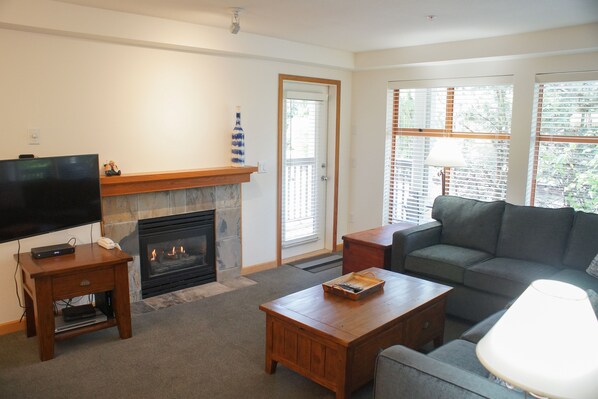 Living area with TV and fireplace