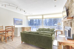 Living Area - One queen size sofa sleeper.