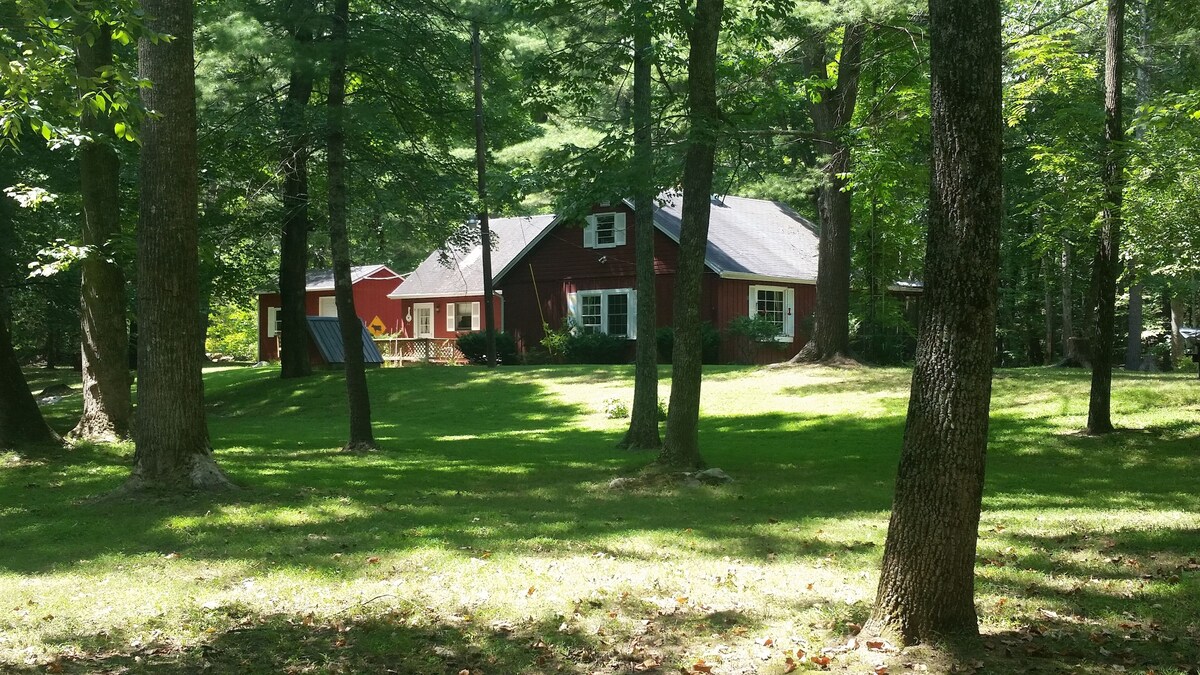 Main Image