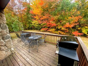 Outdoor Space: Step off the large deck, with a grill and outdoor dining, onto the the private backyard with flat lawn and small babbling brook. Hop on the short path that brings you right to the slopes of Bretton Woods Ski Area!