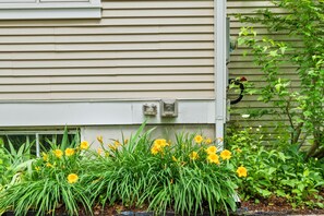 Detalle exterior