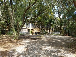 Large Front Yard