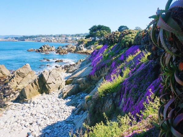 Walking trail along Ocean, one block from Mermaid Cottage