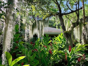 Tropical Courtyard