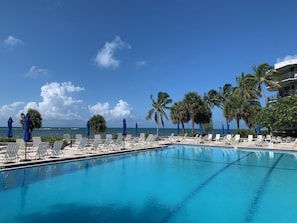 Olympic size heated lap pool