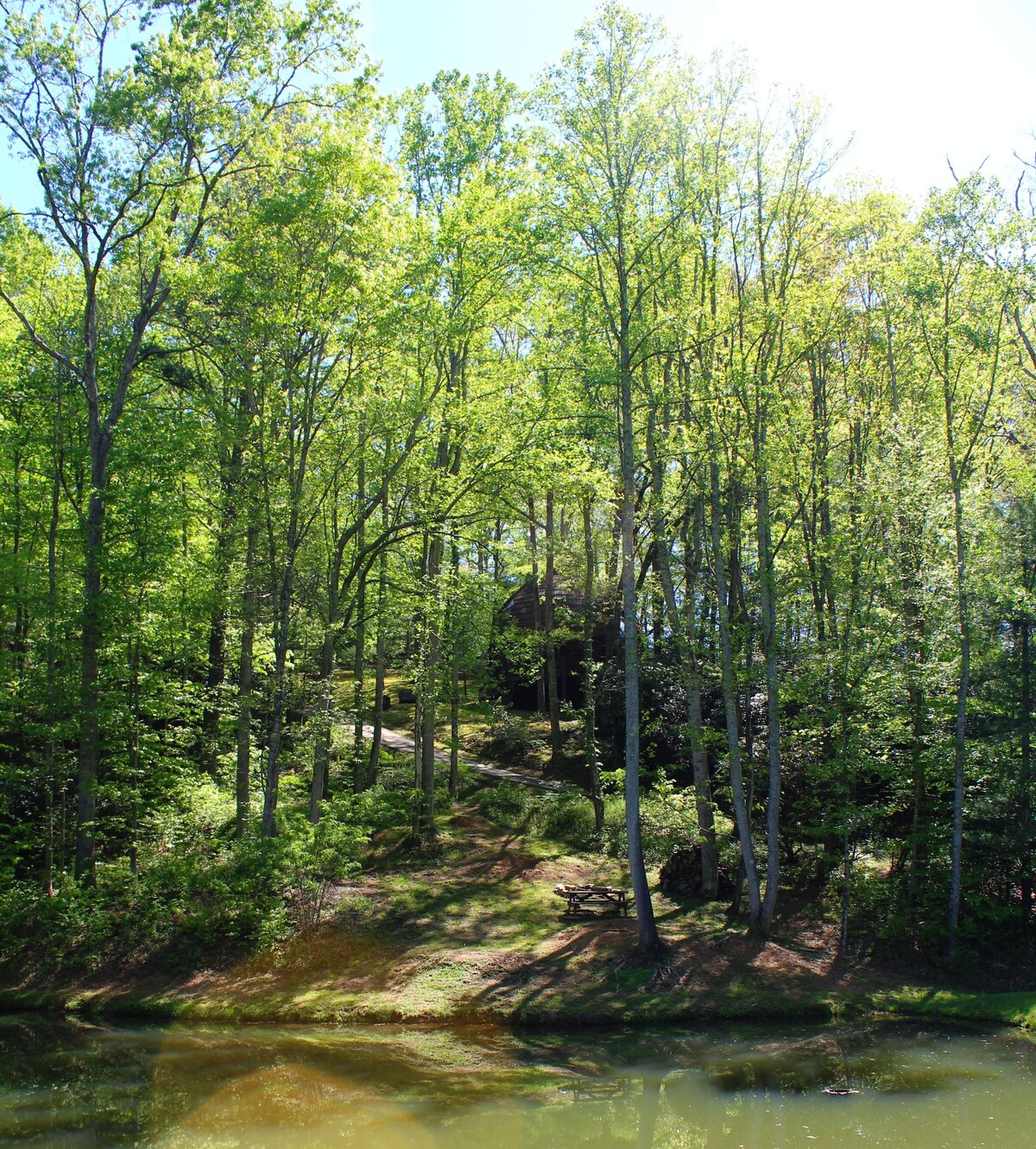 Main Image