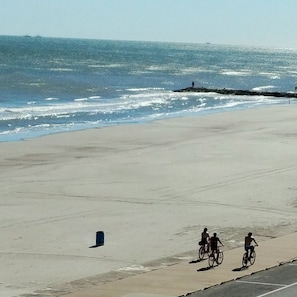 Our guests love to enjoy walking and biking on the Seawall