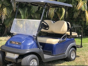 Free 4 person golf cart for your use within the community. Fun for all ages!