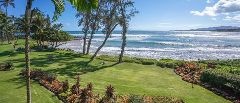 Ocean Front Splendor!