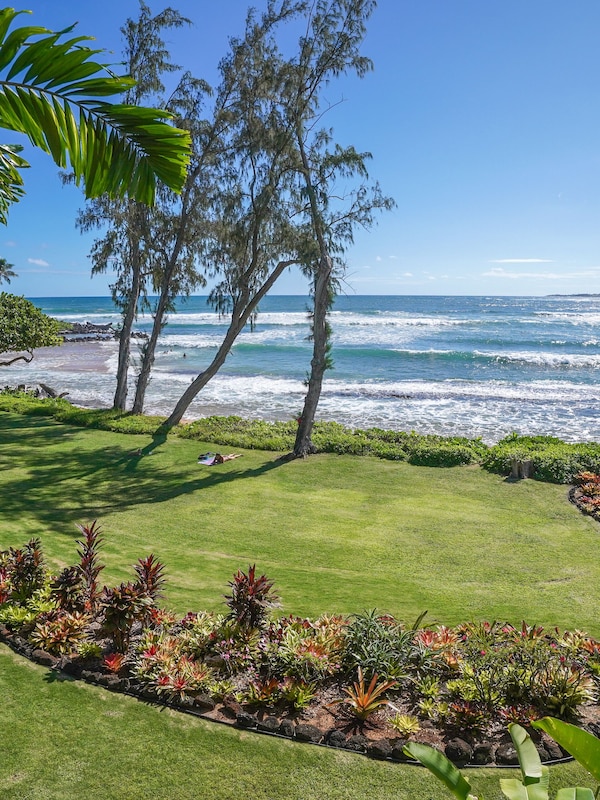 Ocean Front Splendor!