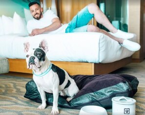 Pets welcome for a nominal pet fee -$40 per pet
Pets must be crated while unsupervised, house trained, and are not allowed on the furniture or in the beds.
