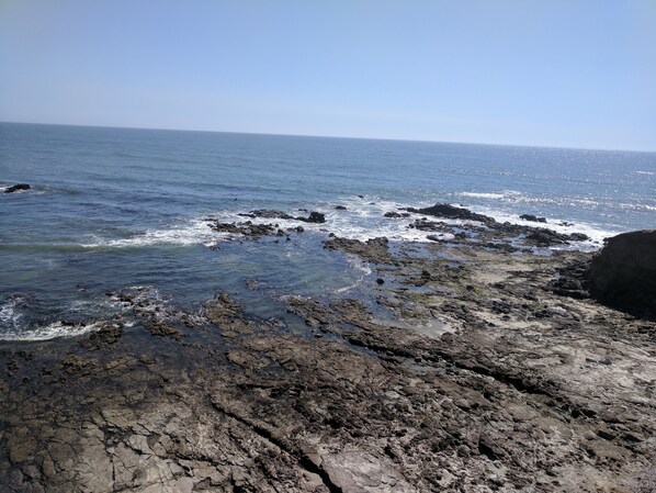 Tide Pools and Beach