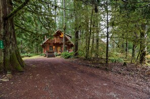 Driveway and front of cabin