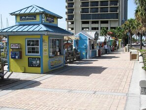 Clearwater Marina has great excusions for the whole family.