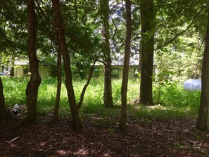 Cedar trees and native flowers hide the property as you drive up.