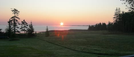 Terrain de l’hébergement 