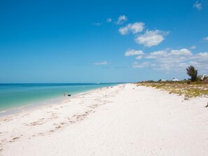 Come walk on the famous white sands of Clearwater Beach.